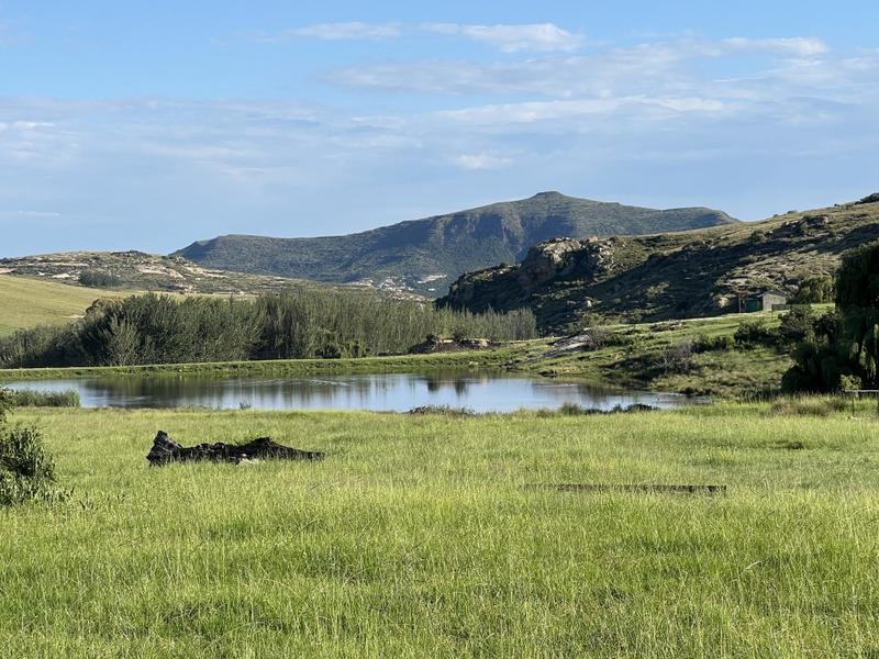 0 Bedroom Property for Sale in Fouriesburg Free State